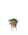 Wrought Iron Planter Stand