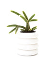 Tall Stacking Planter
