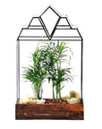 Mendel Terrarium