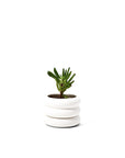 Mini Stacking Planter