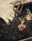Garden Scissors