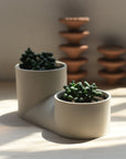 Double Planter
