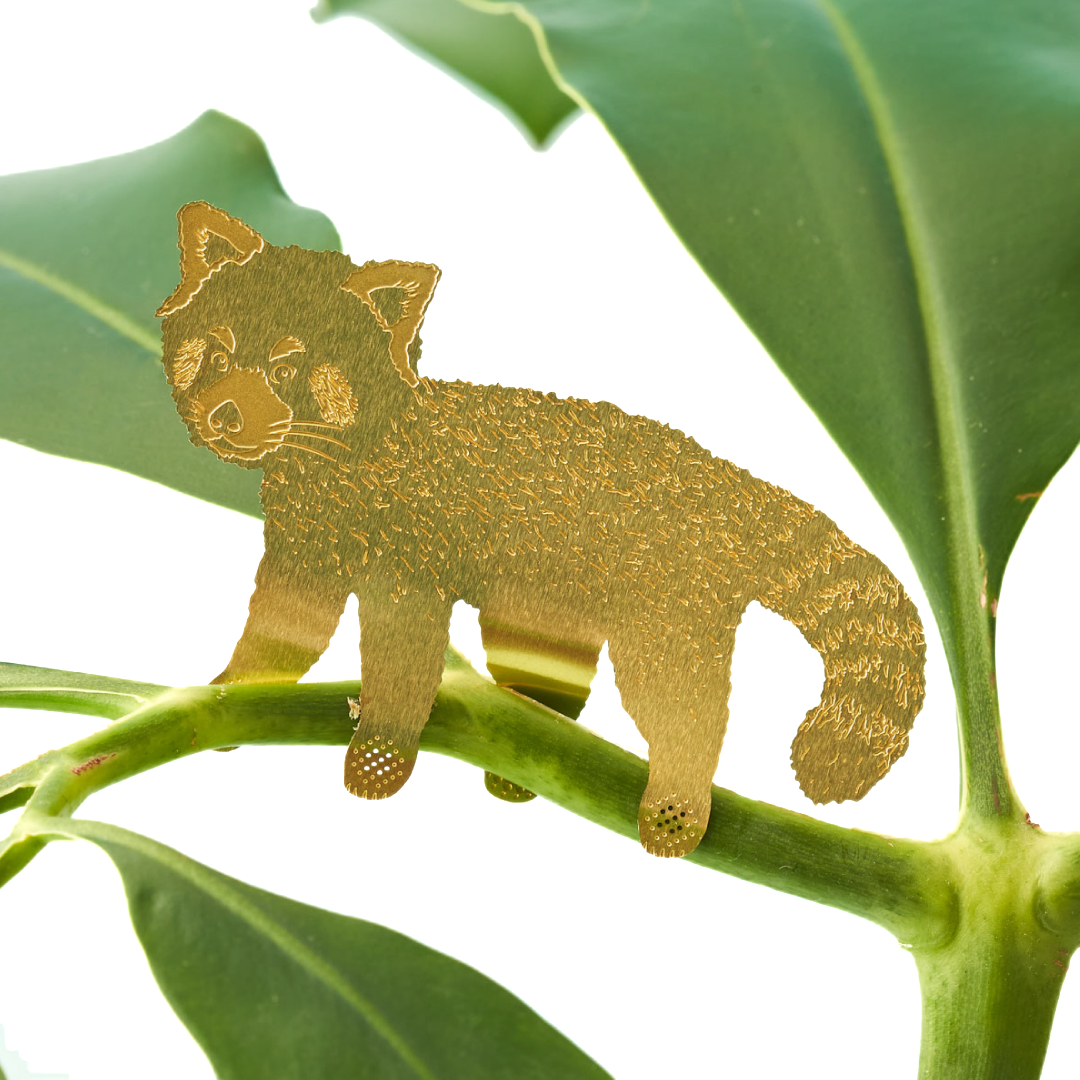 Plant Animals