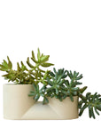 Double Planter
