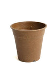 Compostable Pot