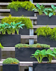 Balcony Pot