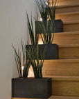 Balcony Pot