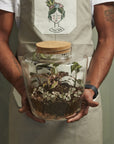 Message Terrarium