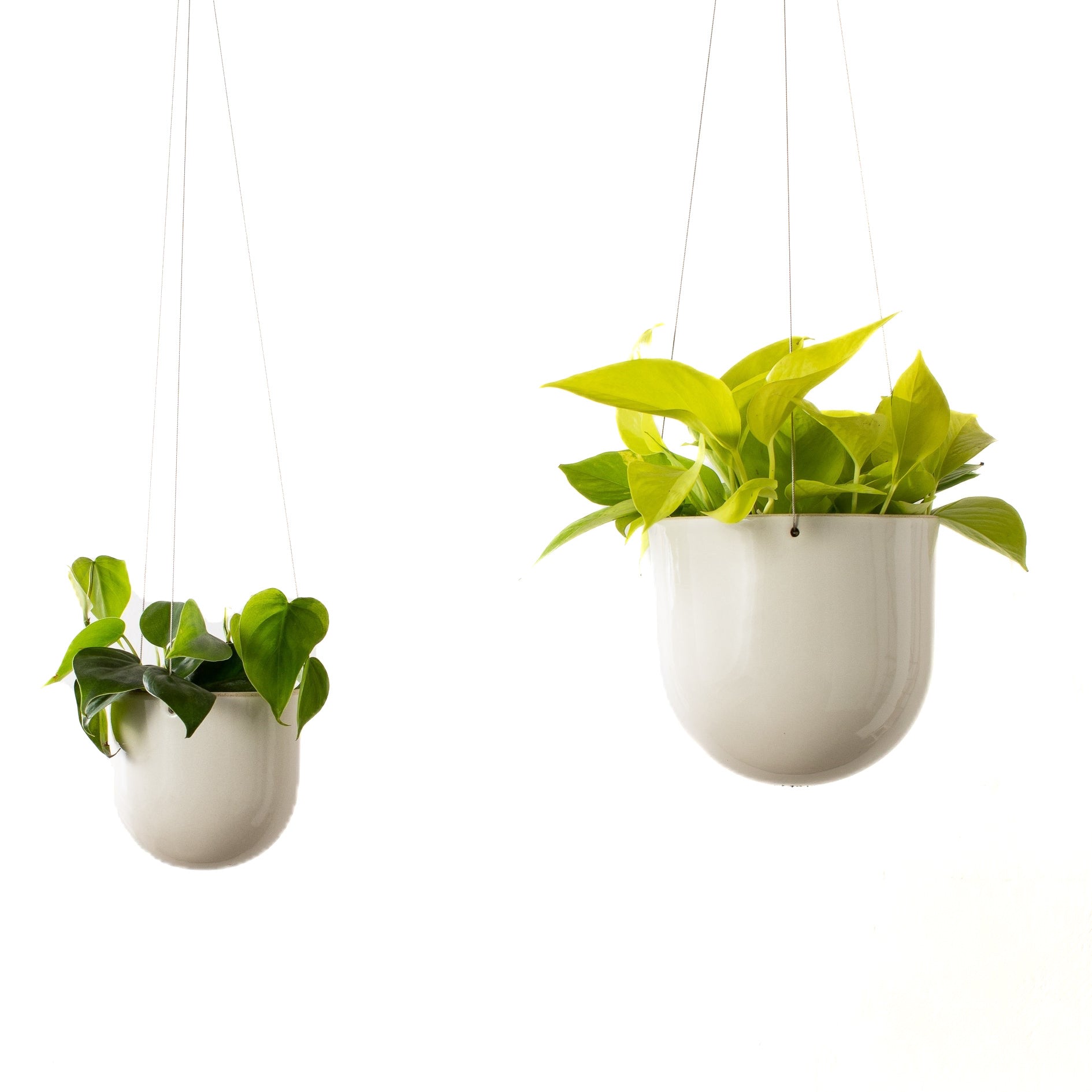 Arched Hanging Planter
