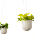 Arched Hanging Planter