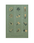Seasonal Produce Poster