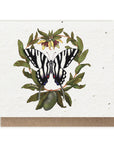 Zebra Butterfly and Paw Paw Card