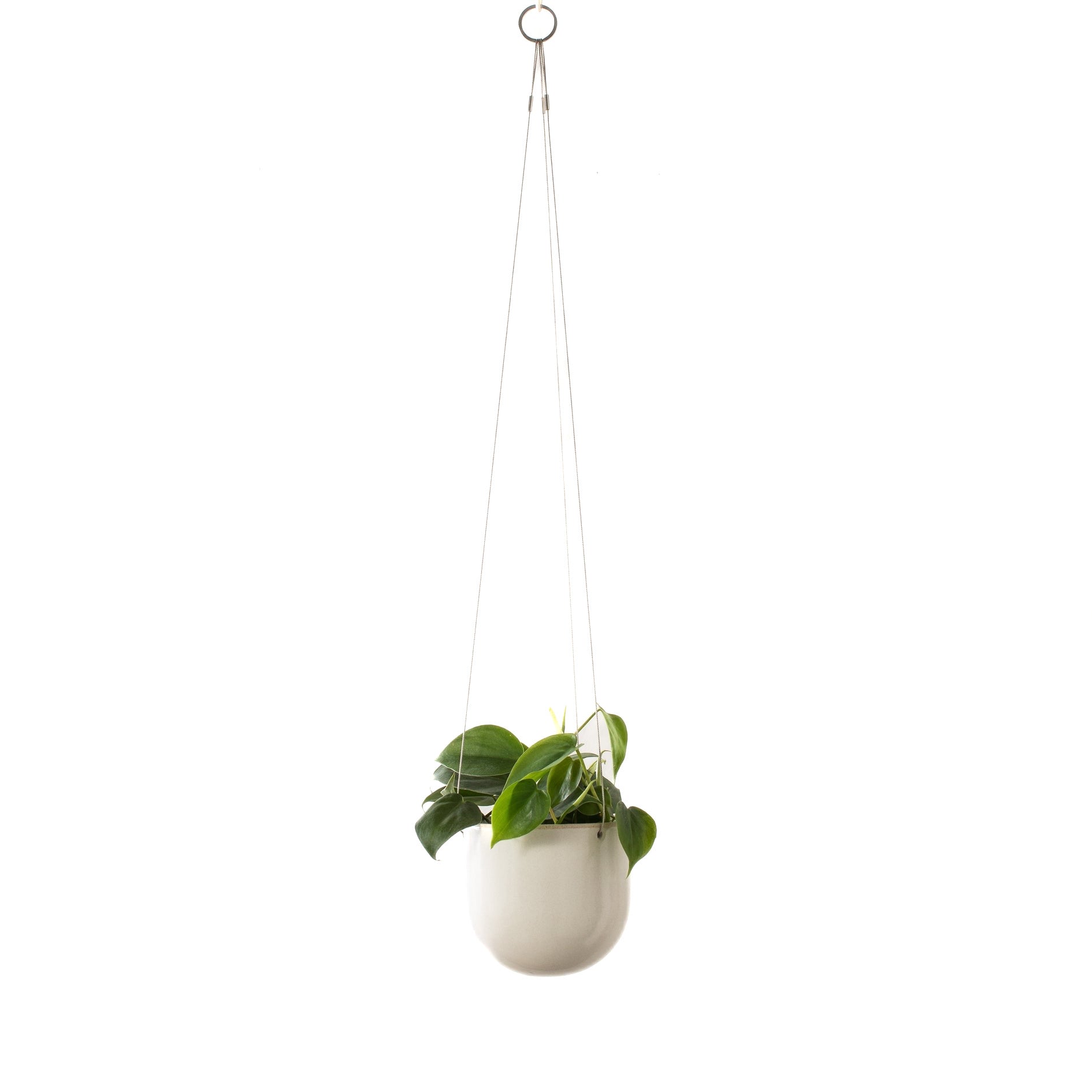 Arched Hanging Planter