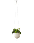 Arched Hanging Planter