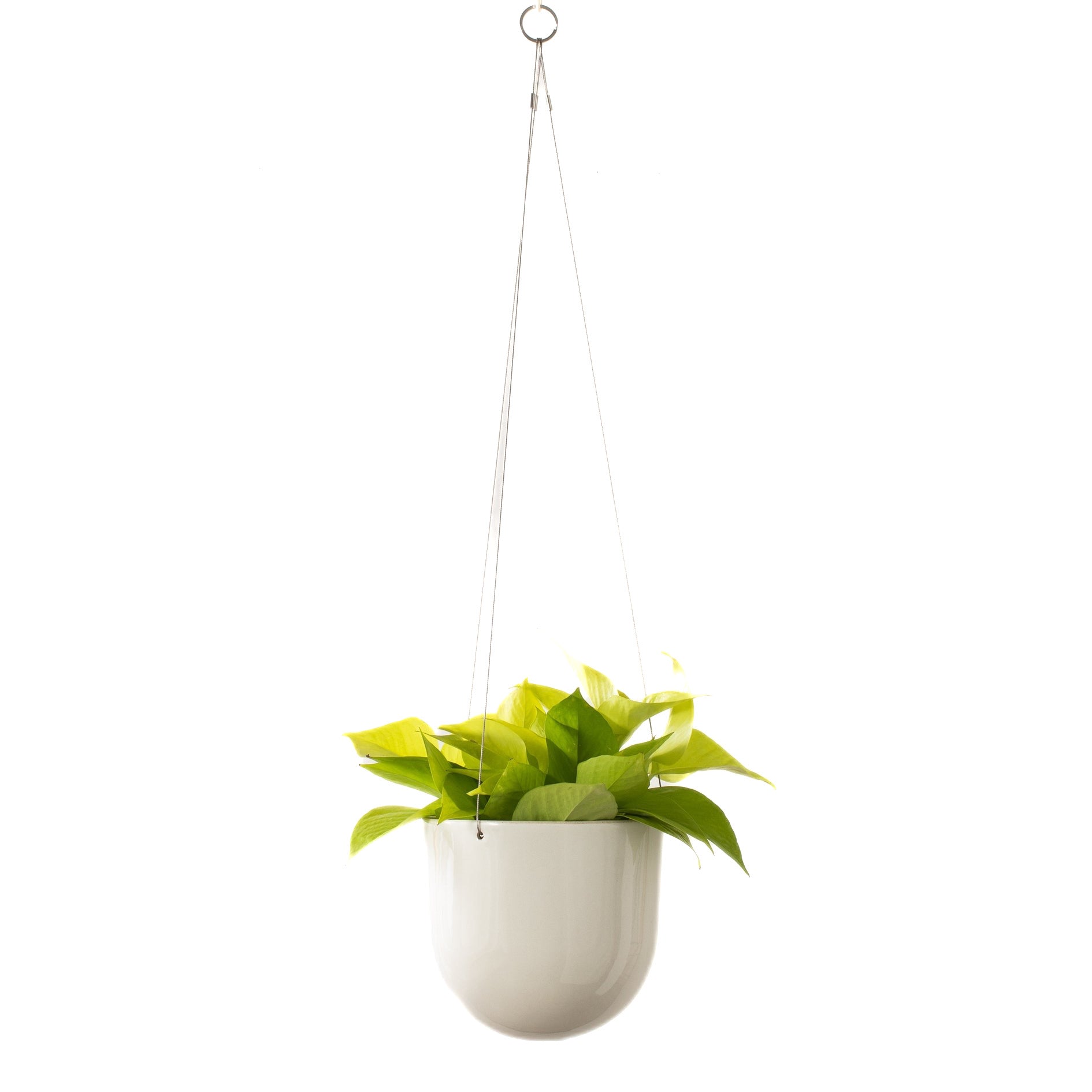 Arched Hanging Planter