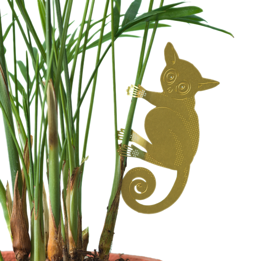 Plant Animals