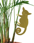 Plant Animals