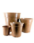 Compostable Pot