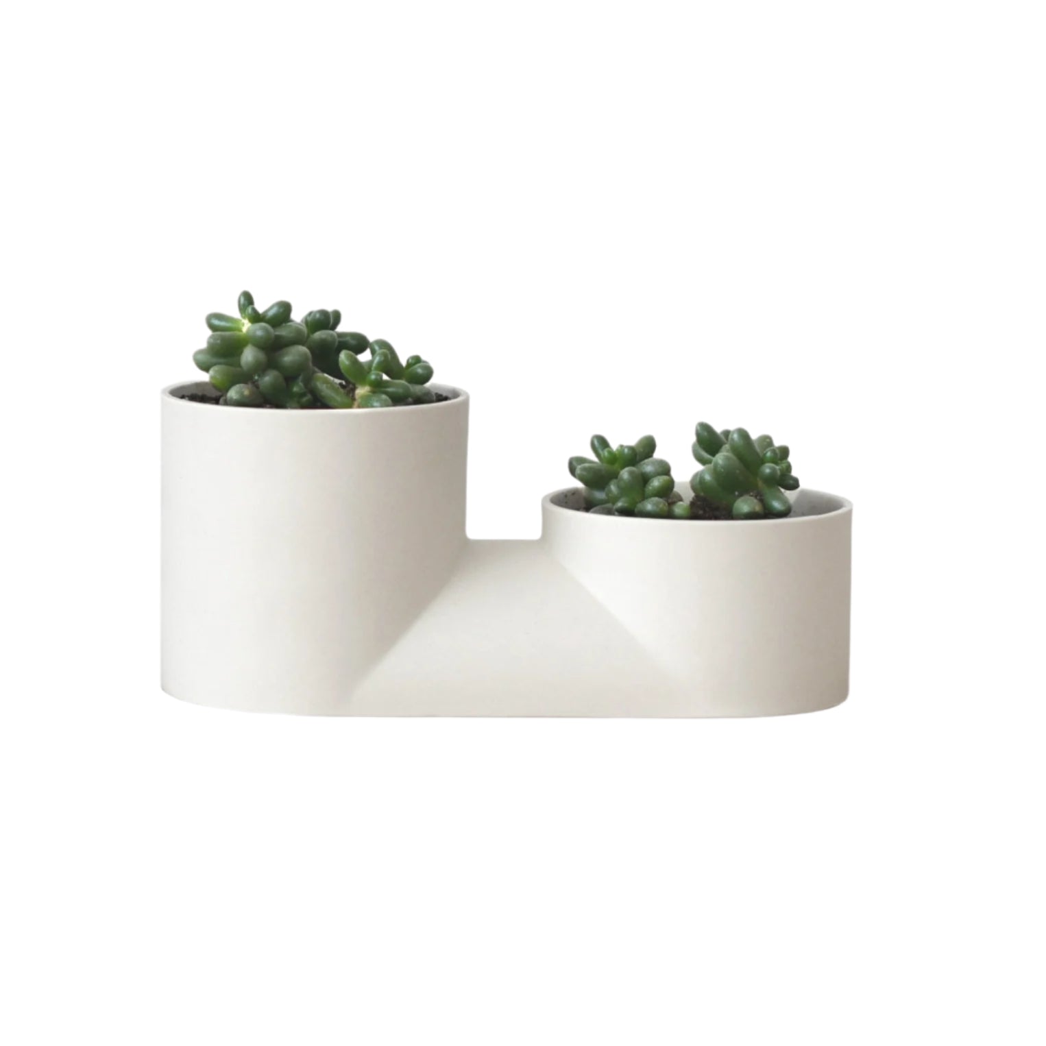 double flower pot planter Double Planter – Diameter Plants