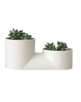 Double Planter
