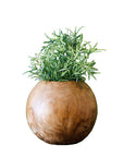 Teak Ball Pot