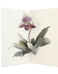 Lady Slipper Orchid Pop-Up Card