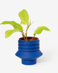 Strata Plant Vessel