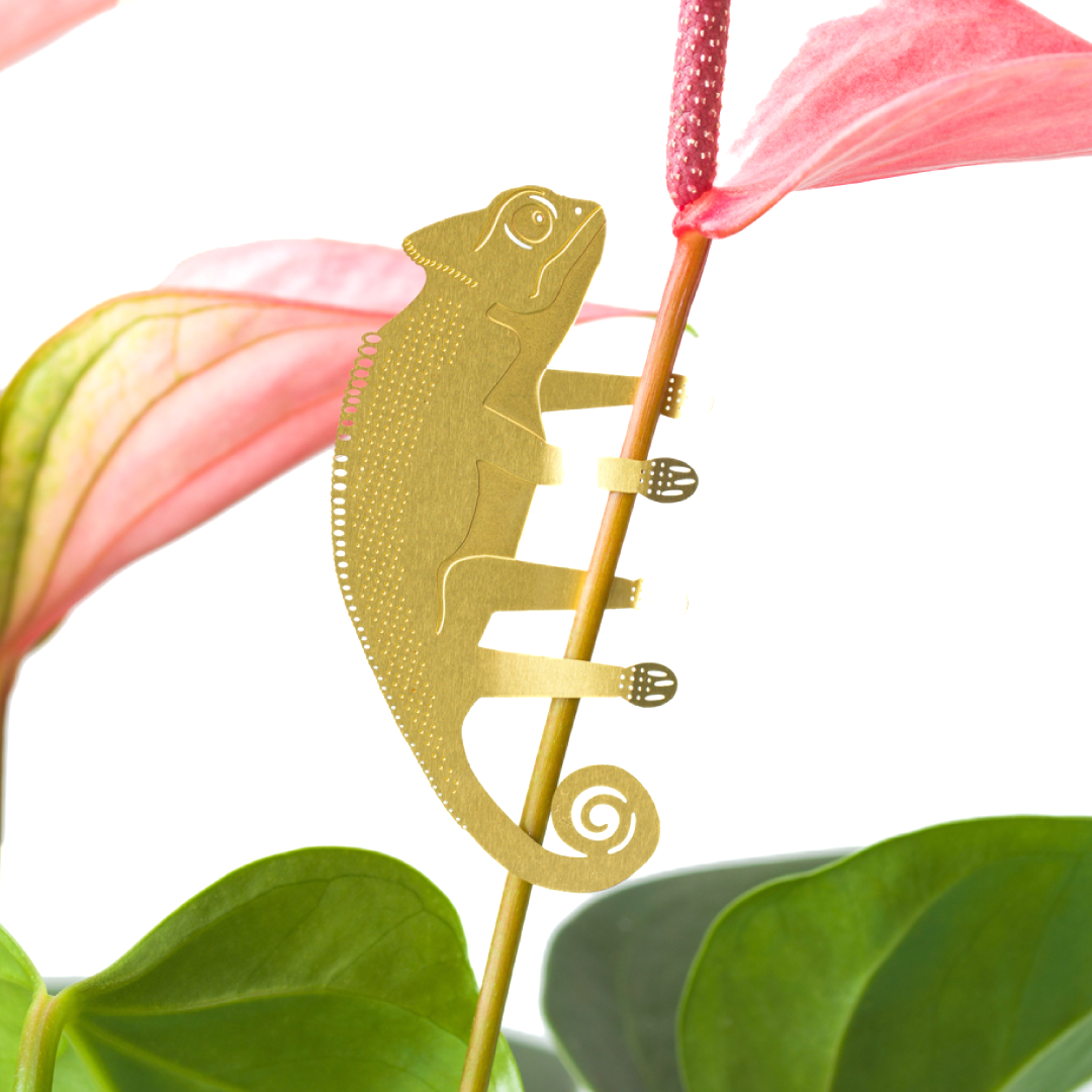 Plant Animals