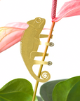 Plant Animals