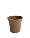 Compostable Pot