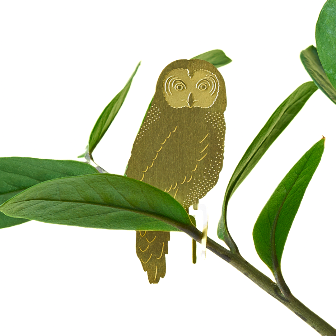 Plant Animals