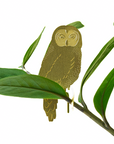 Plant Animals