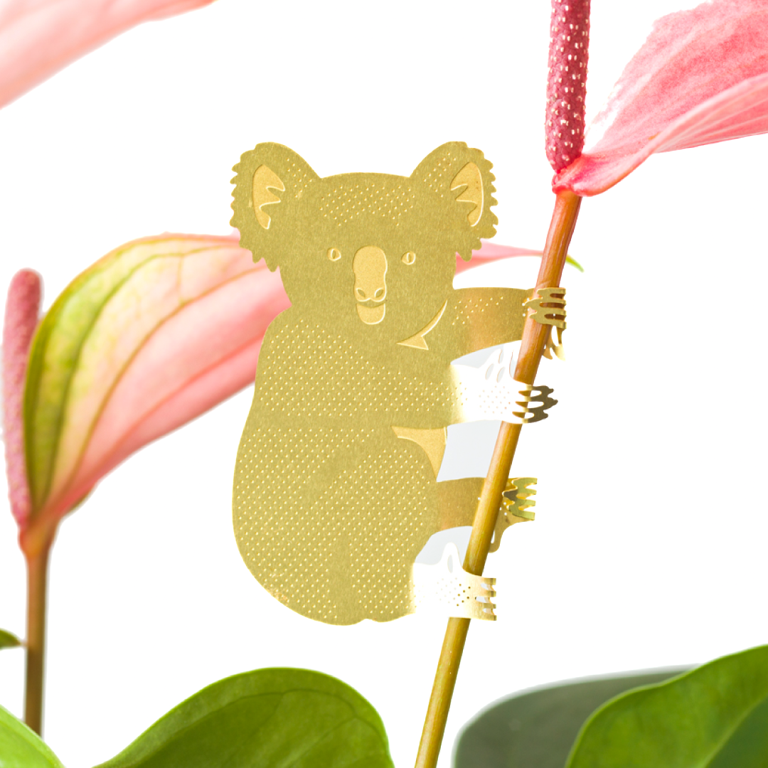 Plant Animals