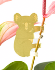 Plant Animals