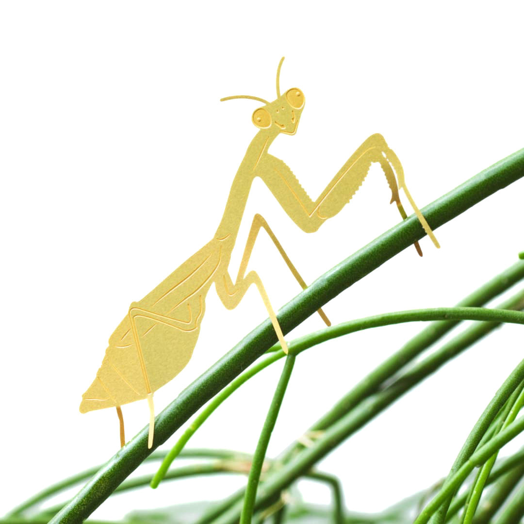 Plant Animals