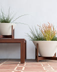 Apex Planter
