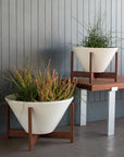 Apex Planter