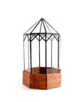 Gazebo Terrarium