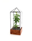Tower Terrarium