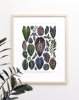 Dark Houseplant Varieties Print