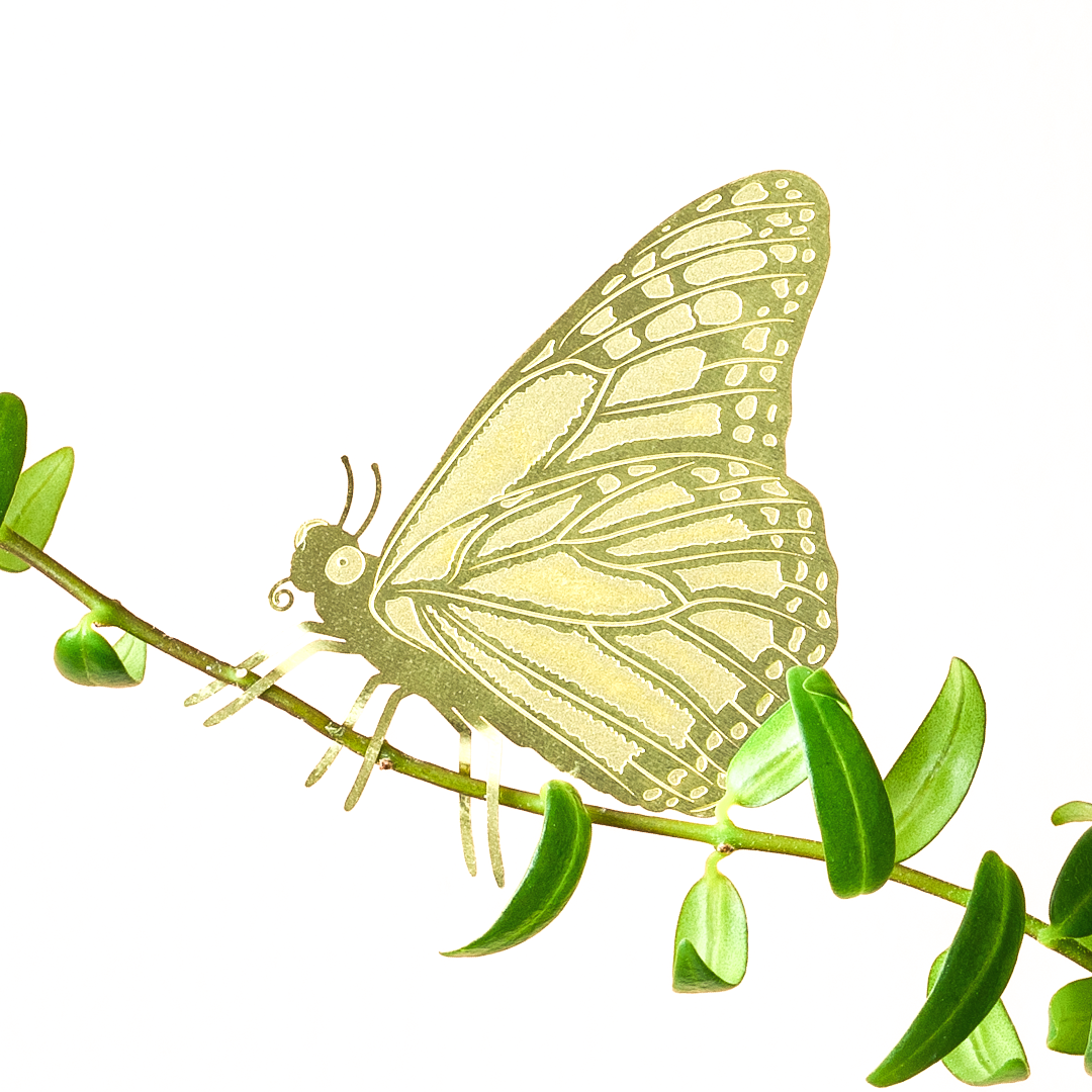Plant Animals