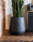Pax Pot