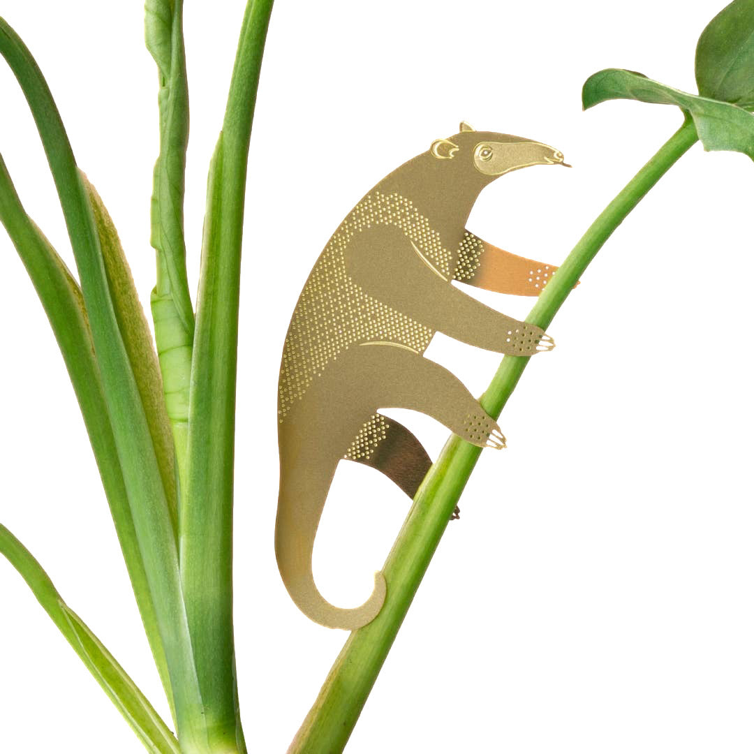 Plant Animals