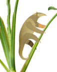 Plant Animals