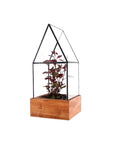Tudor Terrarium