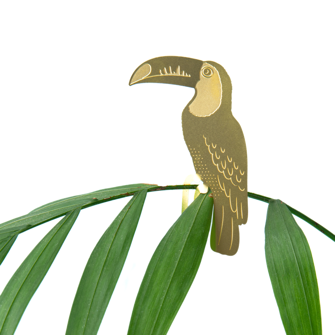 Plant Animals