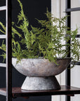 Concrete Saucer Planter