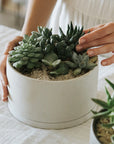Porcelain Pot