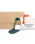 Birthday Mail Pop-Up Card