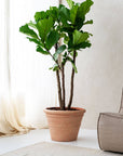 Kyra Pot